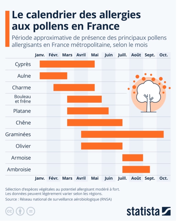 Calendrier des allergies de saison